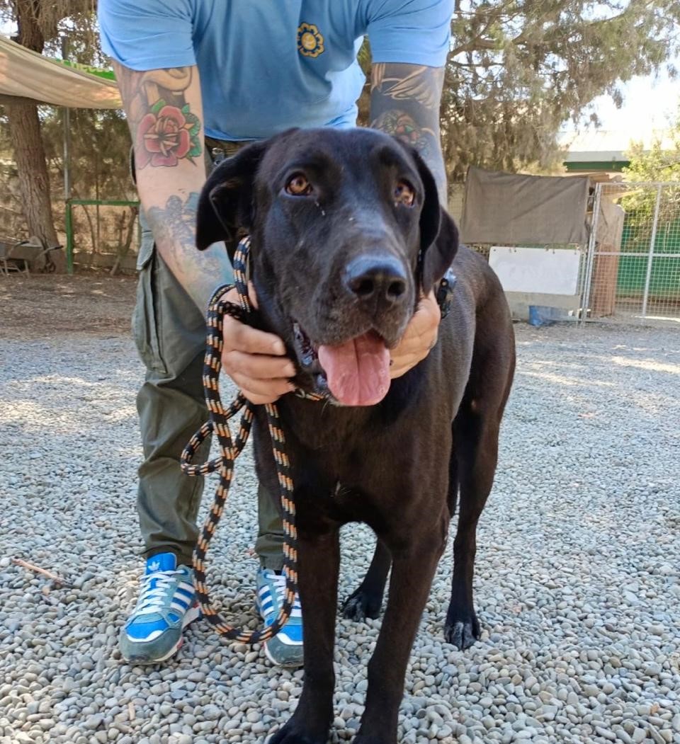 623364222_904609018748943_7085124953563595346_n