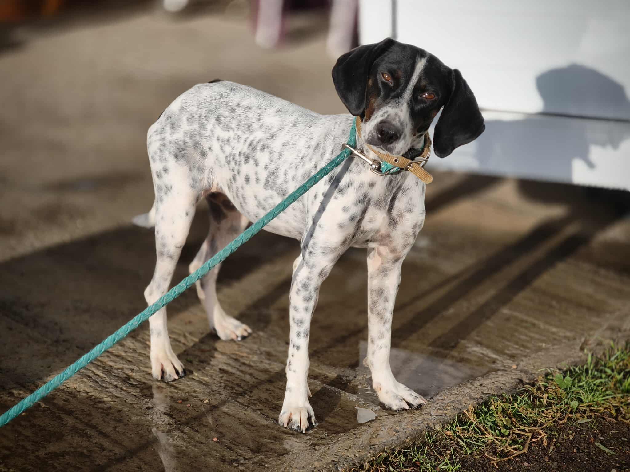 625046991_1328801429288839_1877465713258820703_n