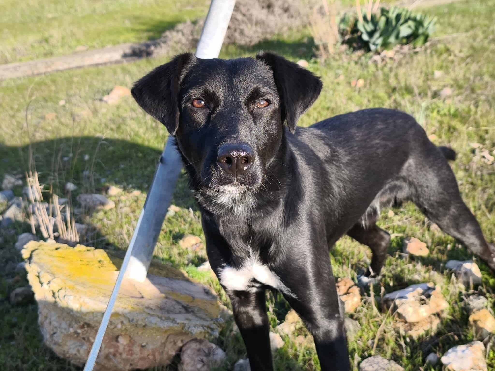 625063921_1328009922701323_3535707741440898876_n