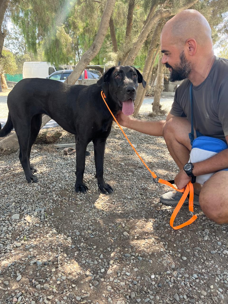 625075780_904609178748927_7635619874672475962_n