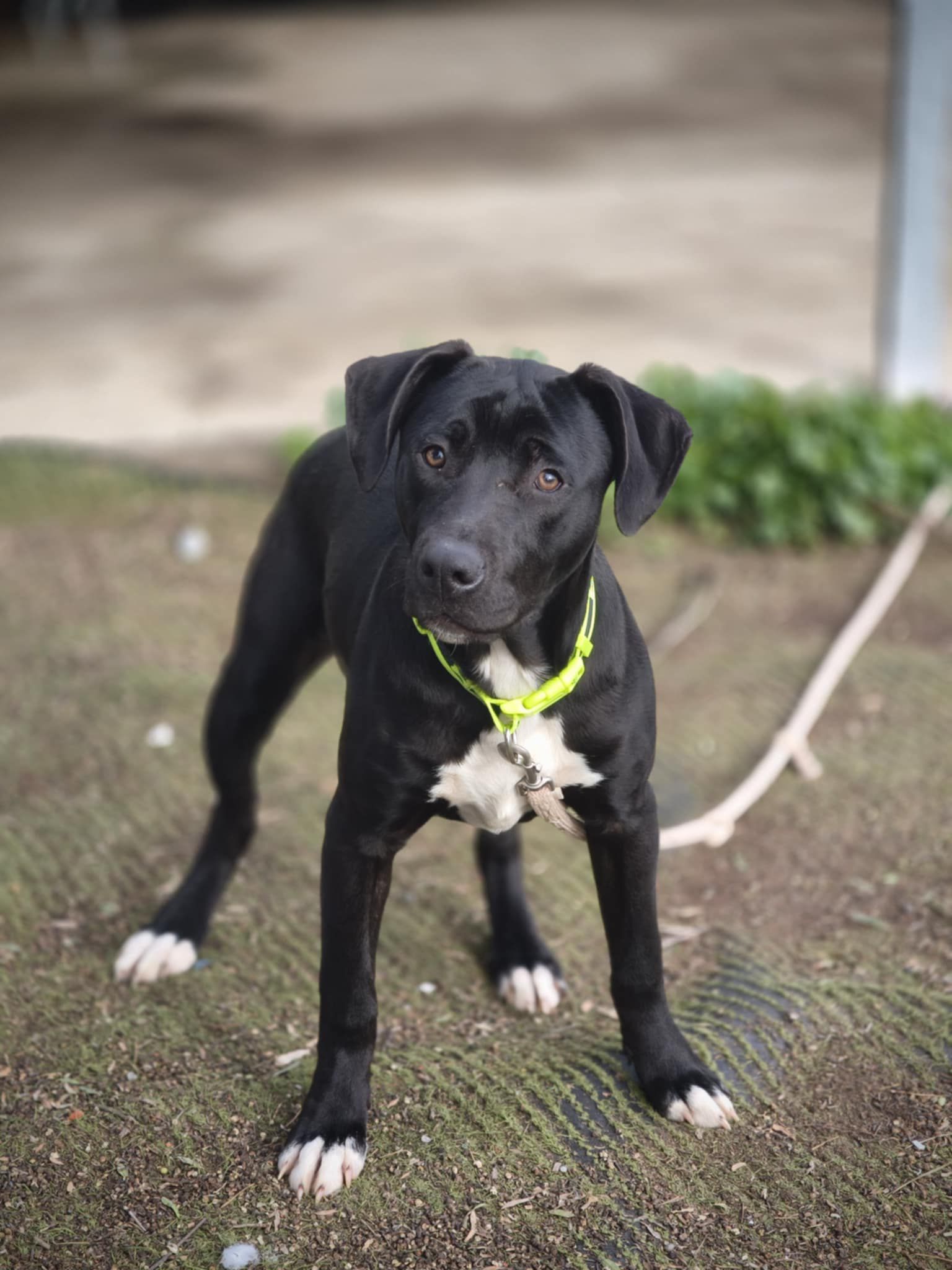 625175625_1327962592706056_4745950986284249298_n