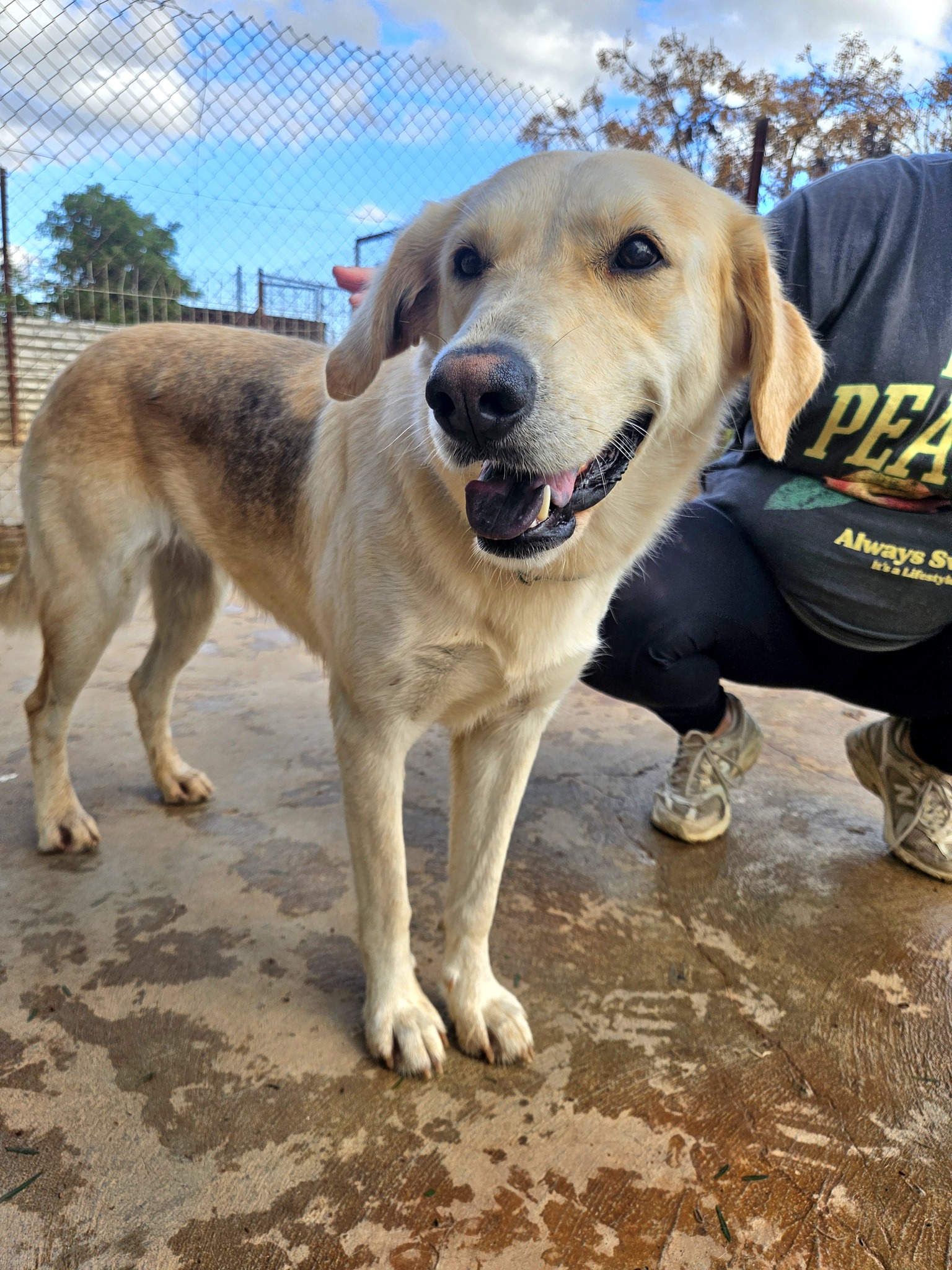 625315433_1330684602433855_3096528459158927954_n