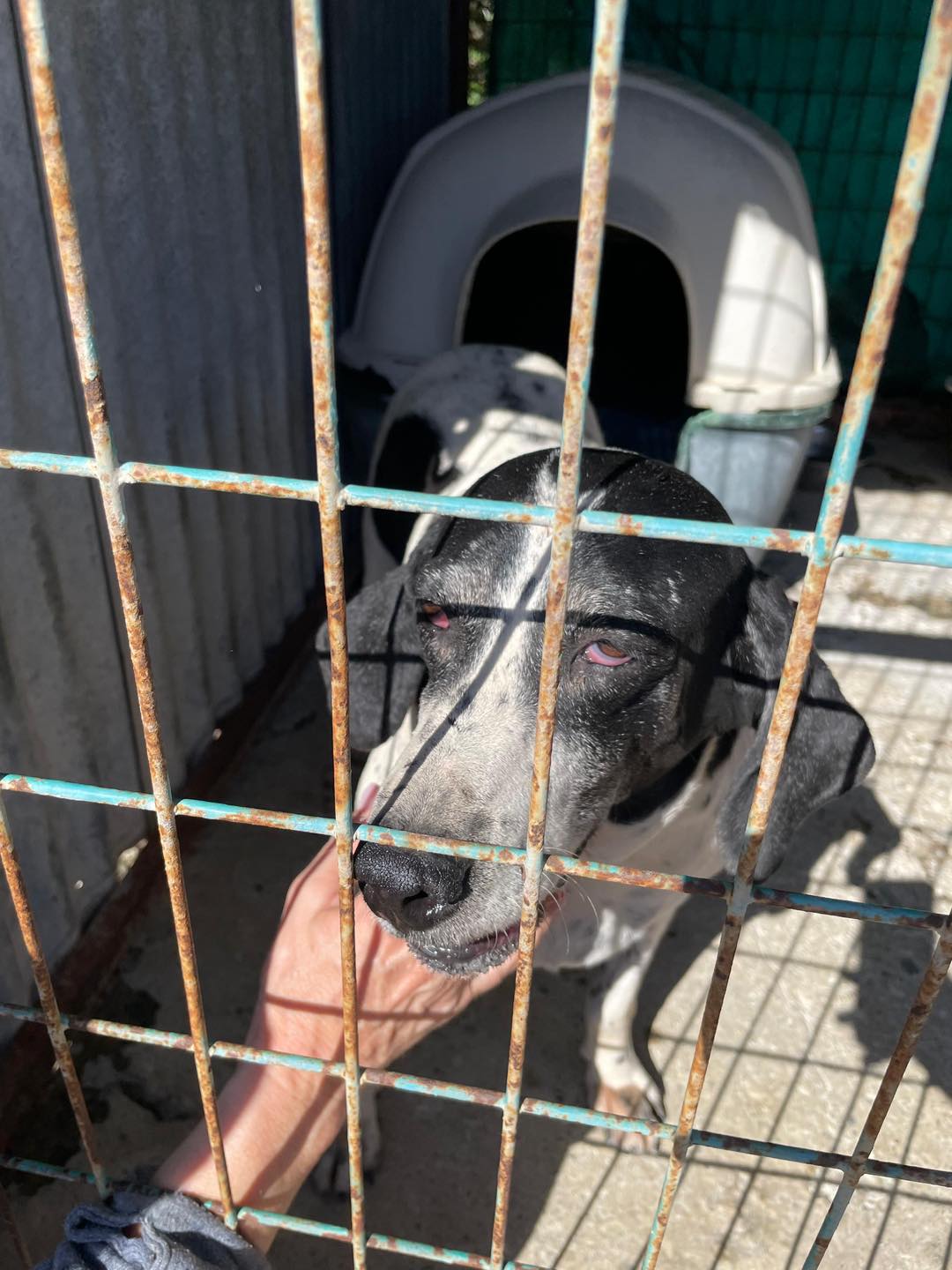 625410053_122170318556771468_3072226394685169415_n