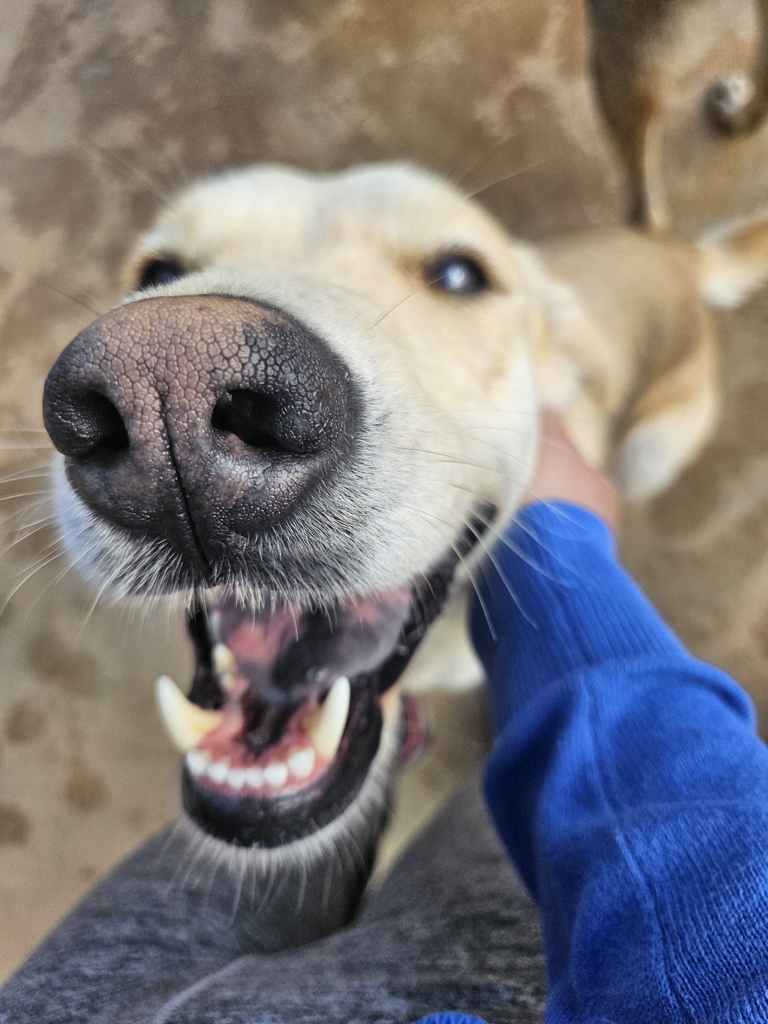 625485280_1330684649100517_8688298817651845564_n