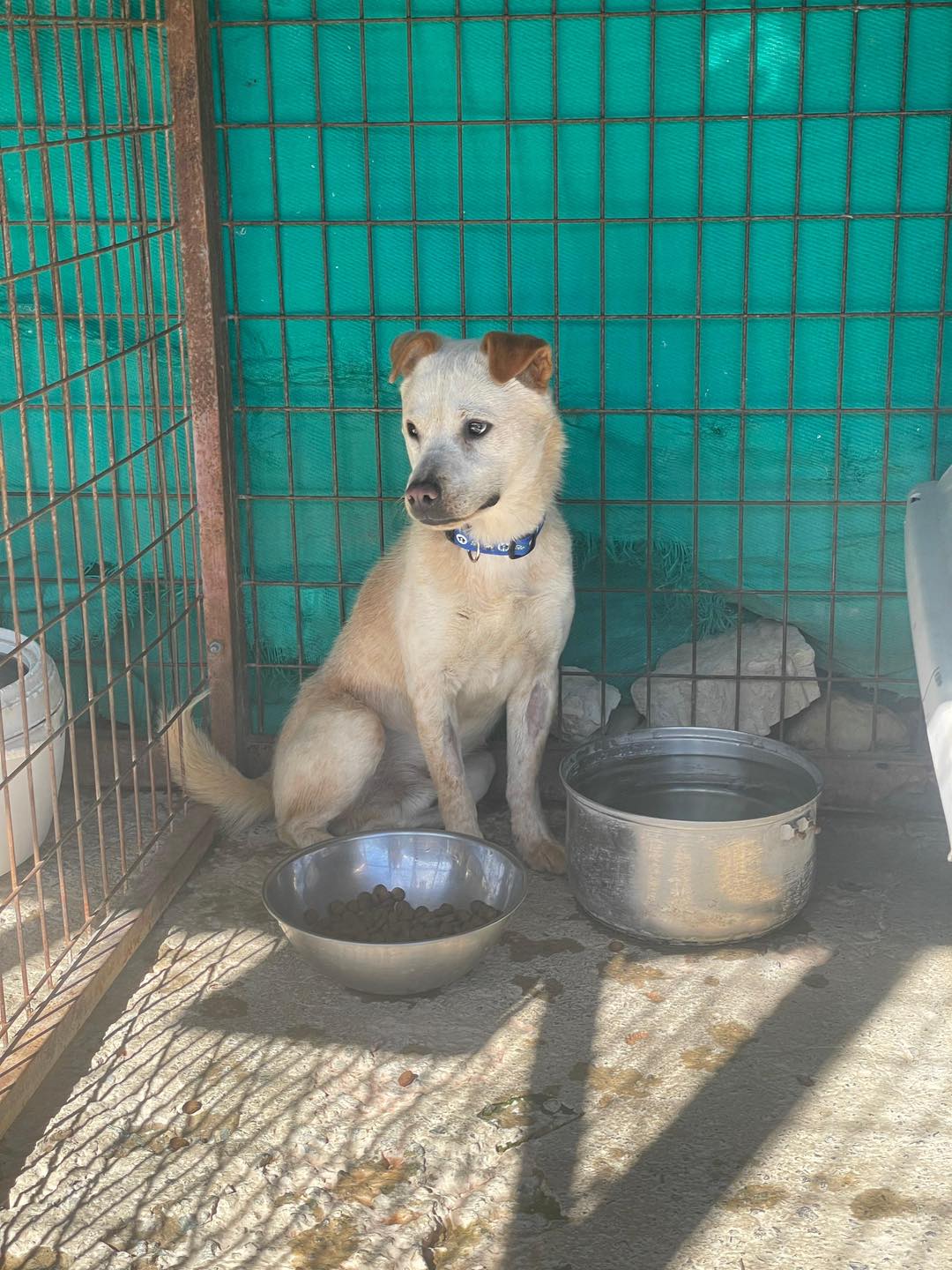 626066065_122170319420771468_7706710902135762214_n