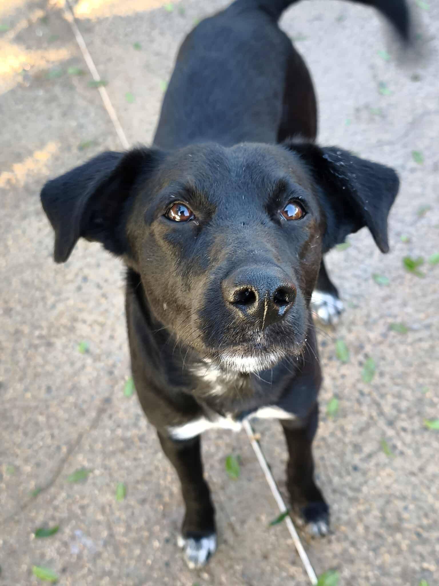 626149860_1328009819368000_8264010320454074451_n