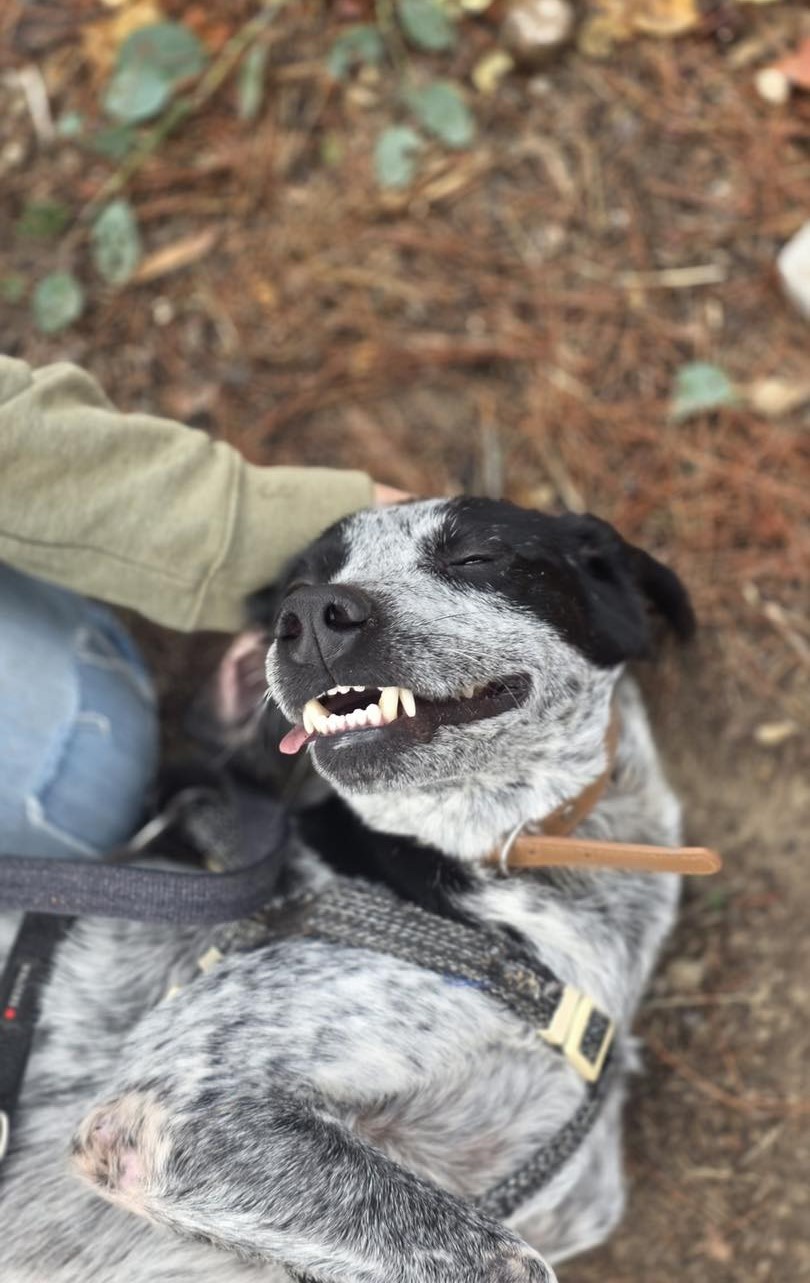 626439832_122170207016771468_1291984399367594853_n