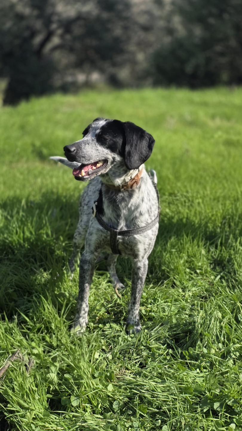 626515802_122170207082771468_2193175440351548670_n