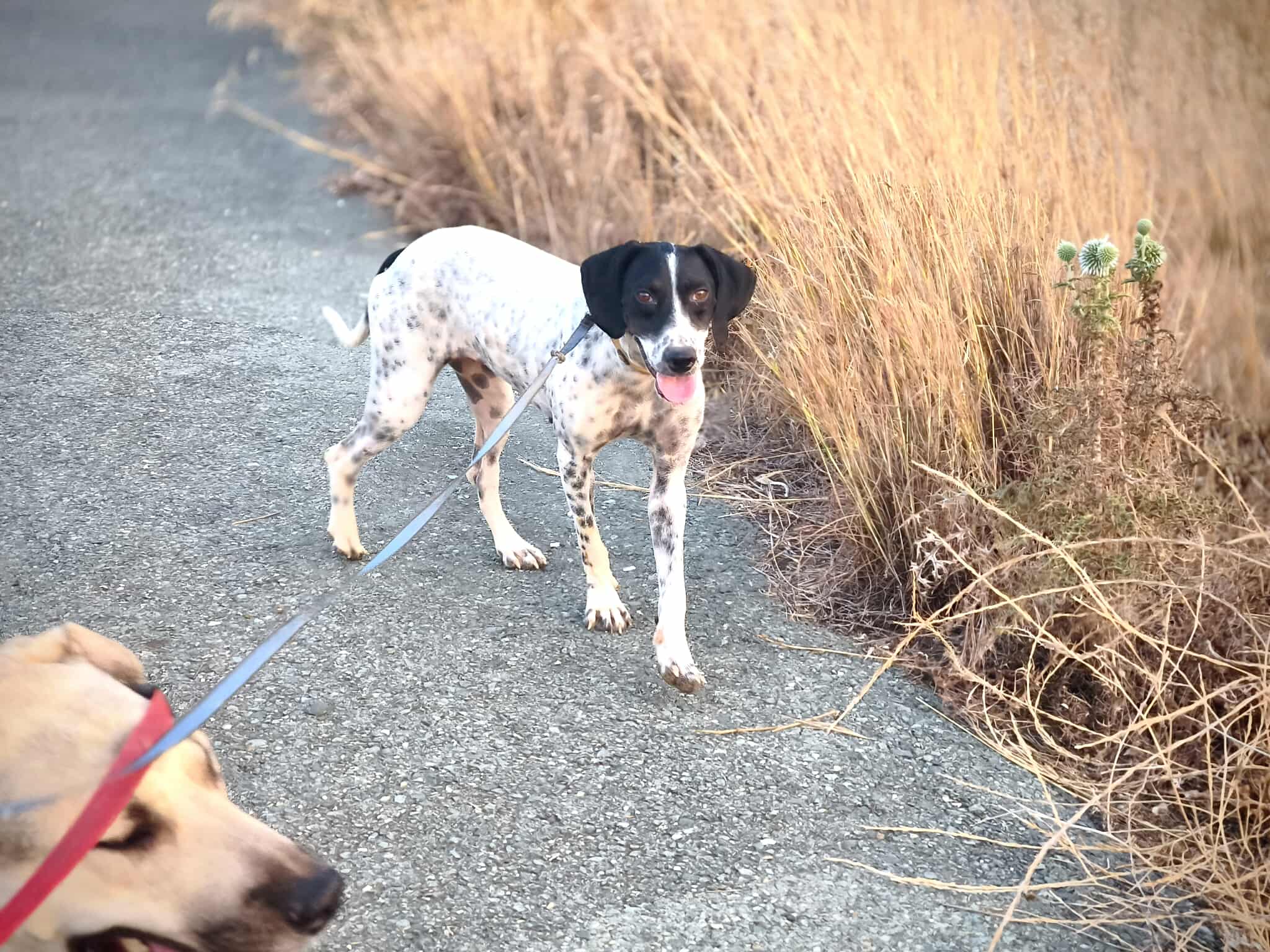 626687167_1328801489288833_5374109222456548065_n