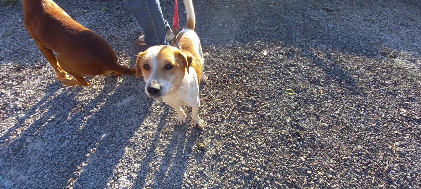 626889723_122170564940771468_935214787505789993_n