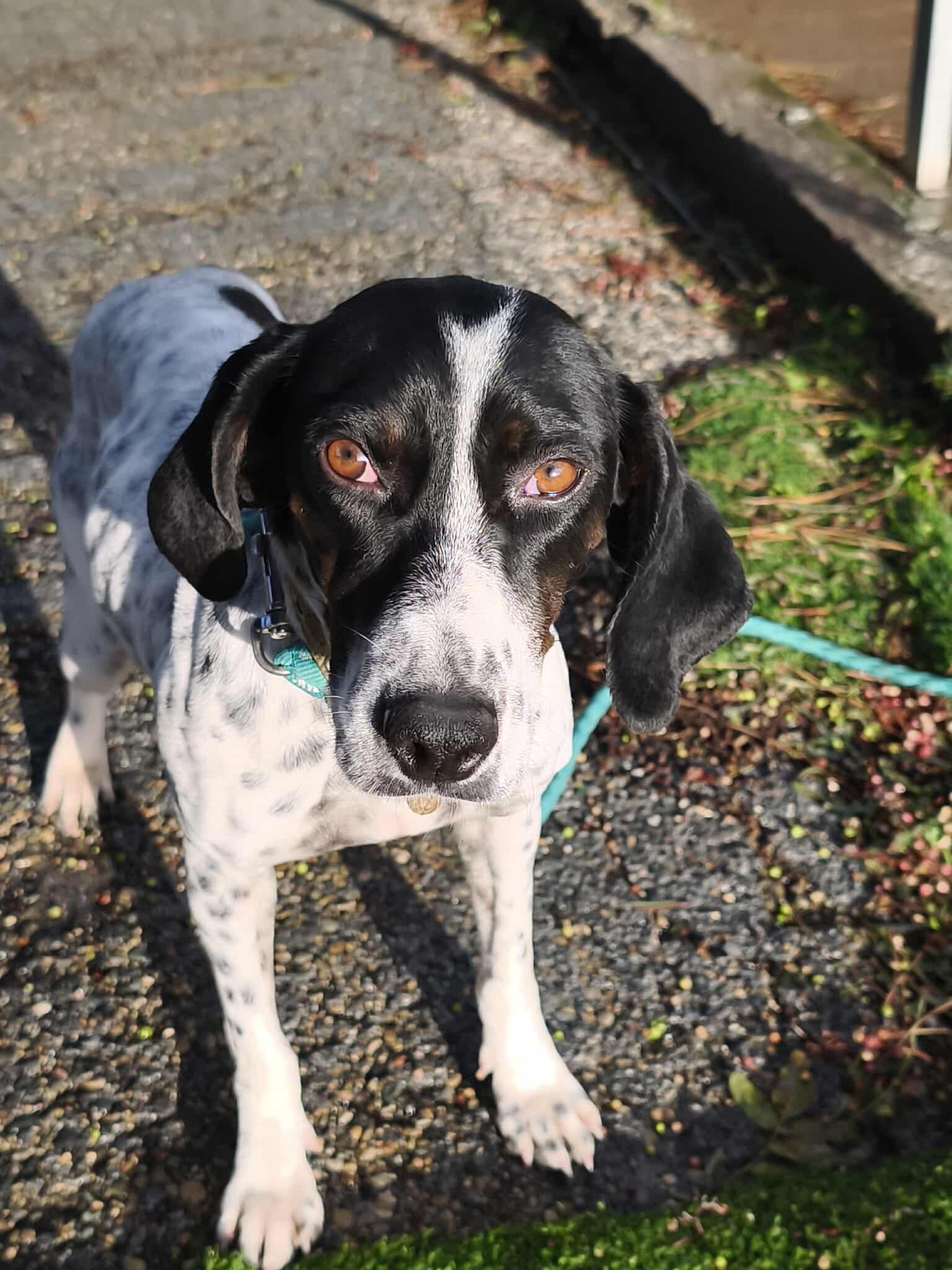 626938052_1328801439288838_2867155116692367931_n