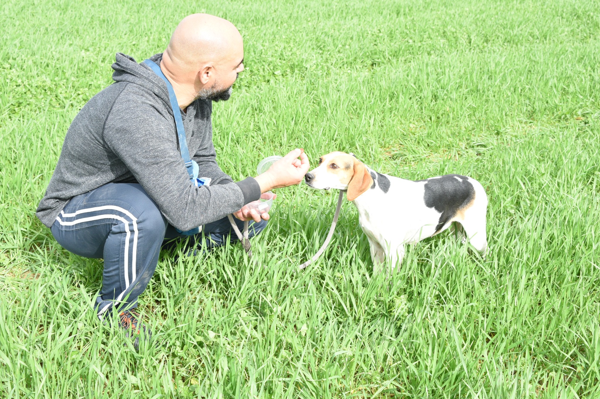 626949938_906197495256762_6884159779024119988_n