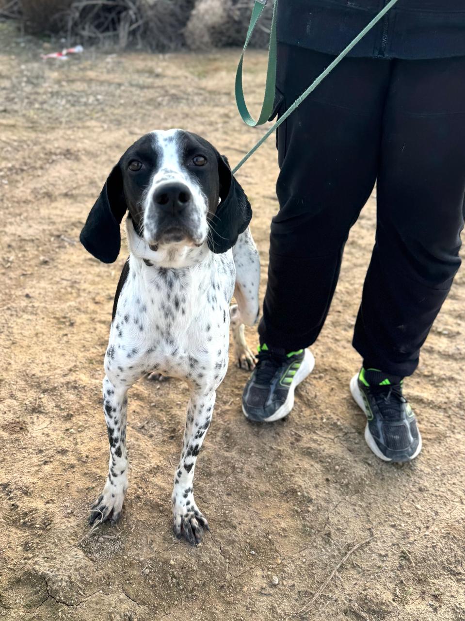 626960290_906606168549228_7166968023665613003_n