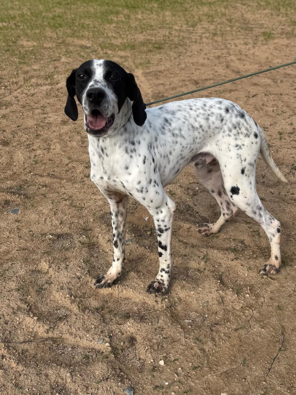 627001559_906606175215894_1486253376782283909_n