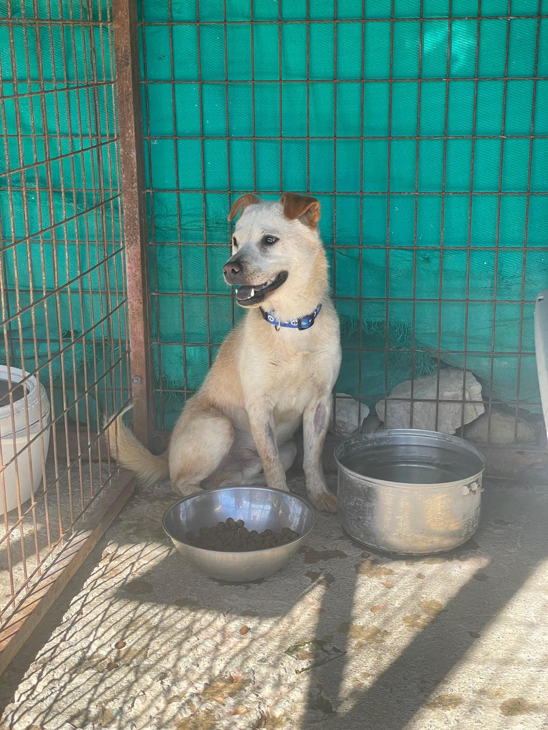 627129582_122170319378771468_636213859176787930_n