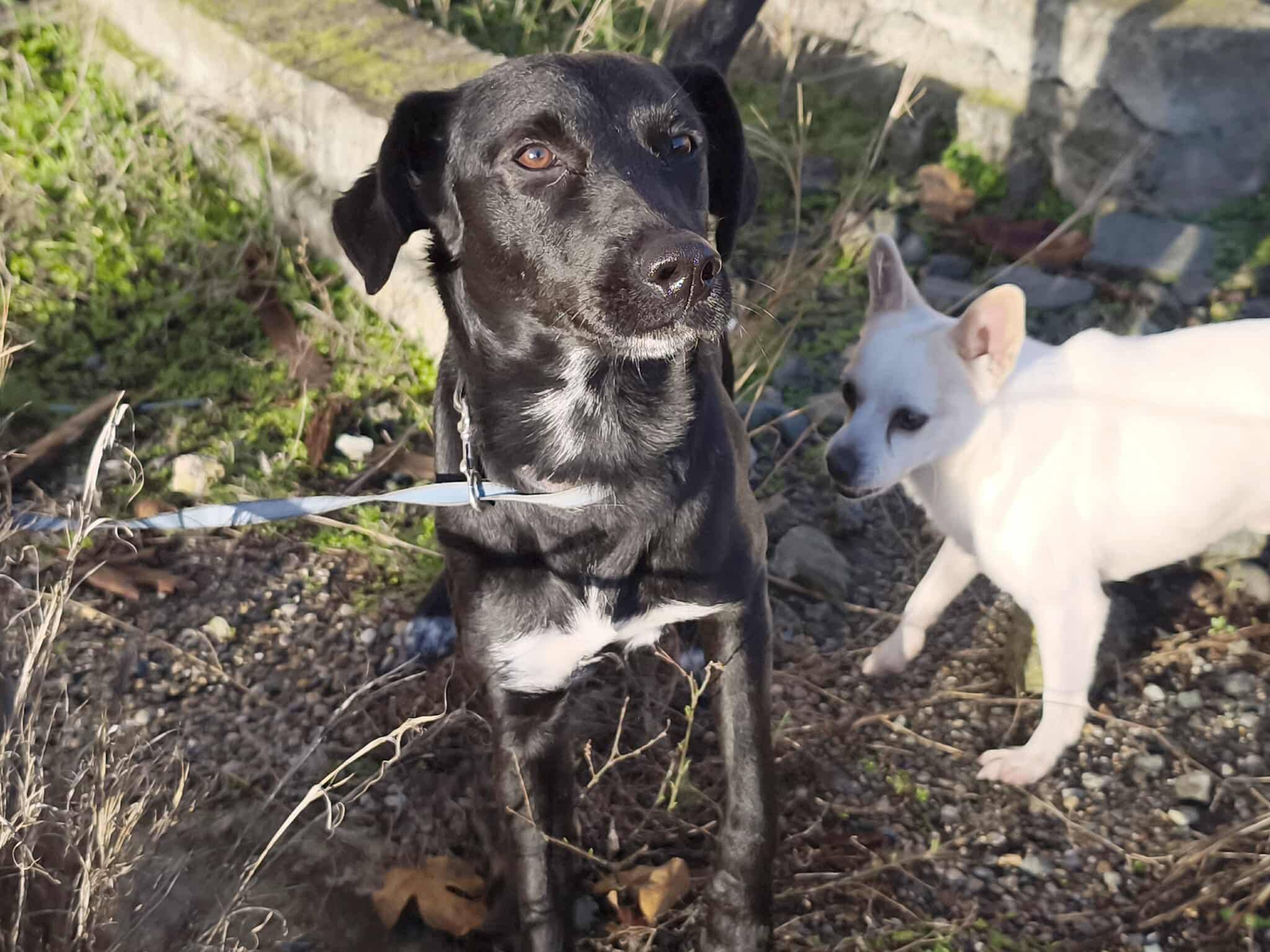 627180435_1328009966034652_7651477971177112520_n