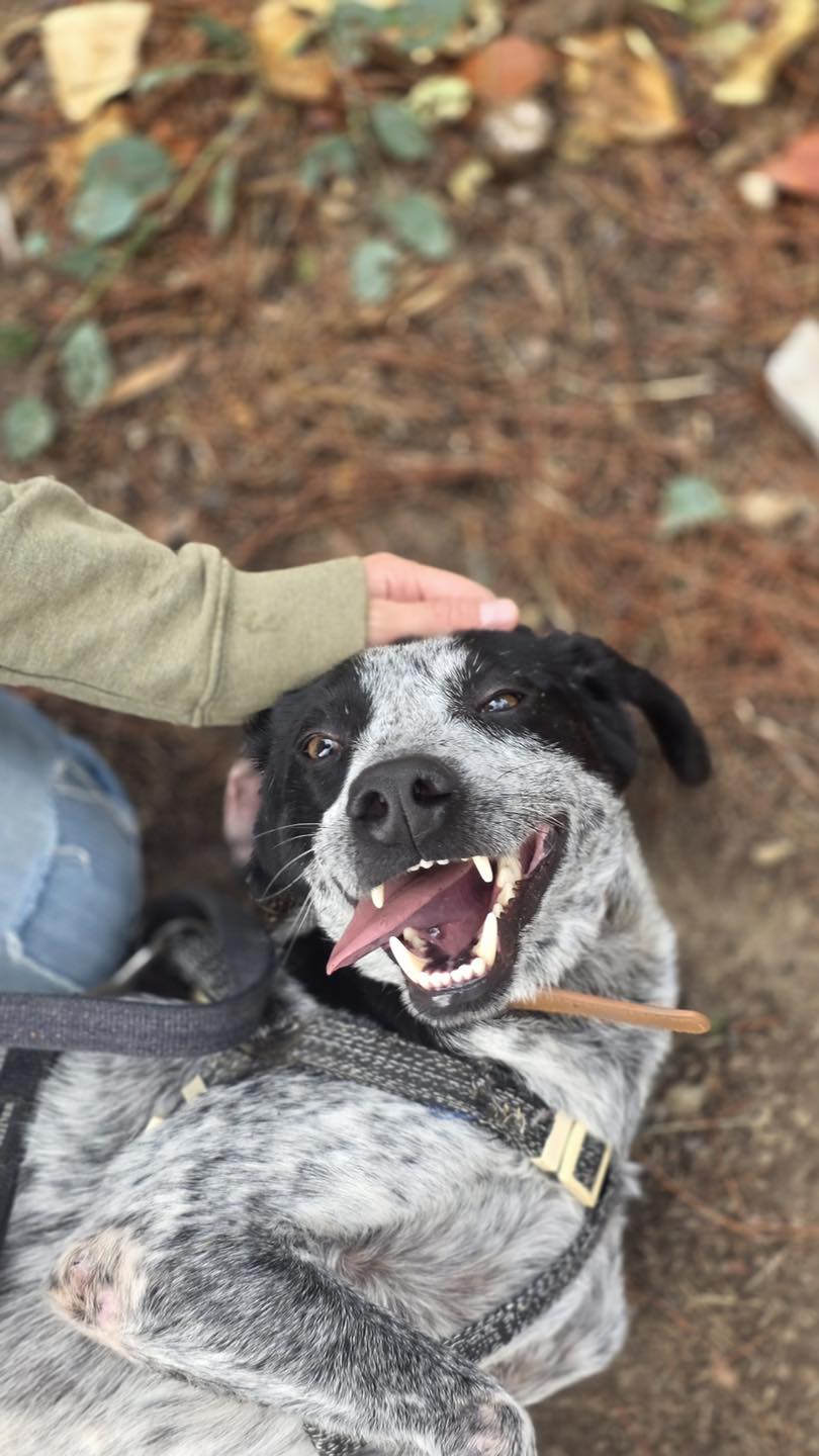 627365569_122170206980771468_6998276269639334063_n