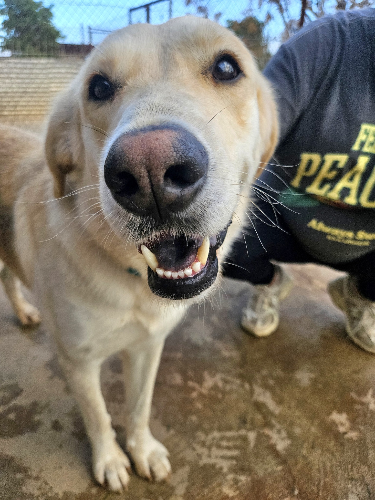 627565828_1330684642433851_1418083965276493232_n