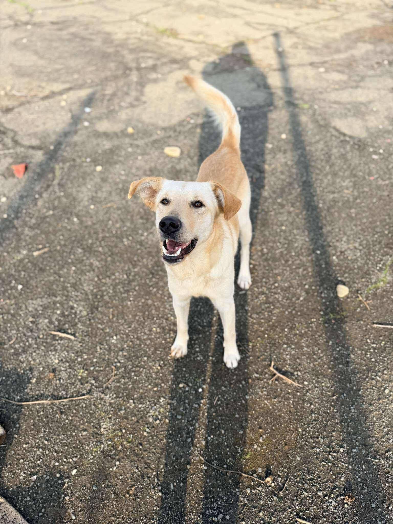 627640915_1328825529286429_6510784018544688904_n