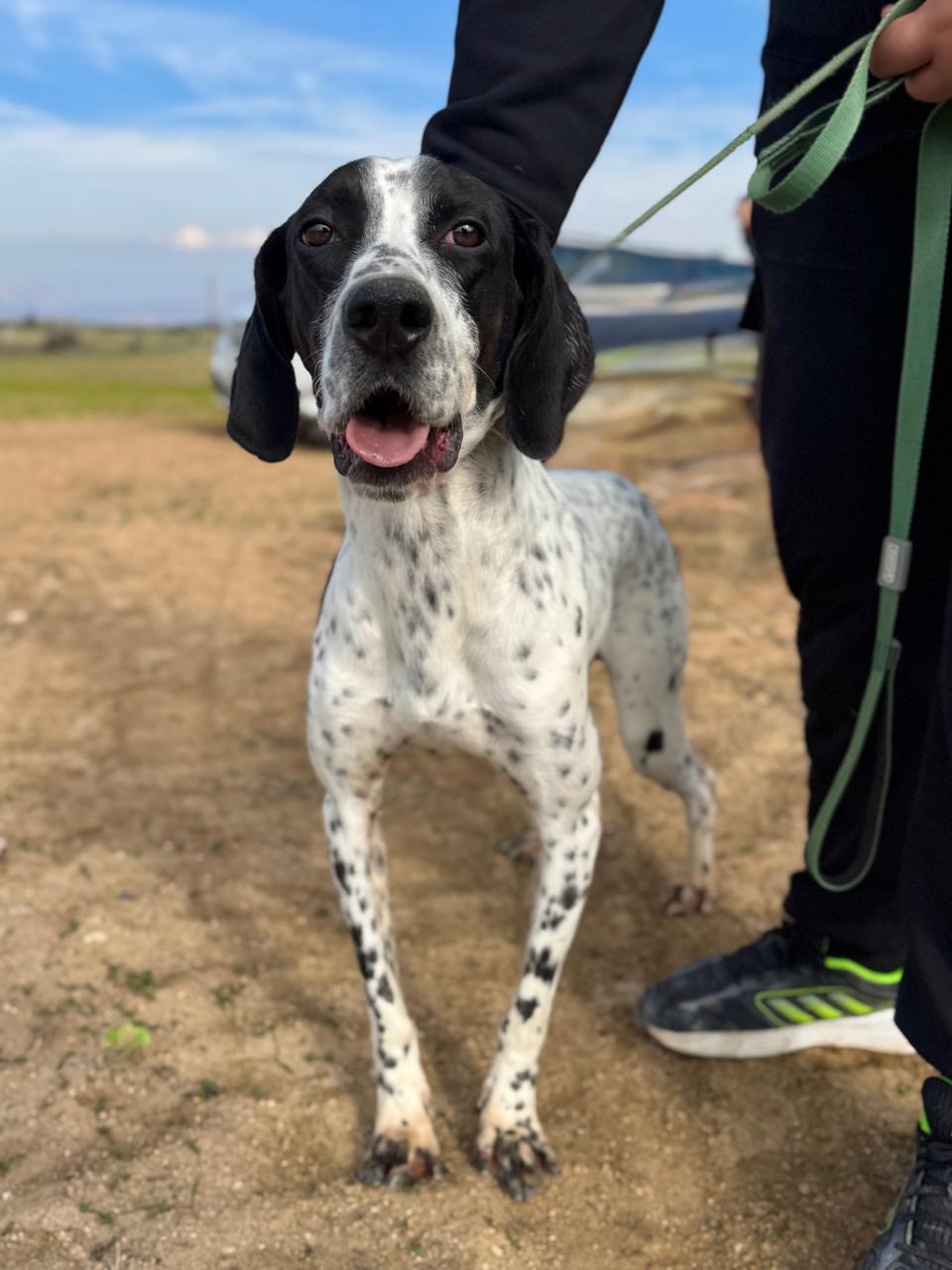 627651218_906606128549232_7004608072894295721_n