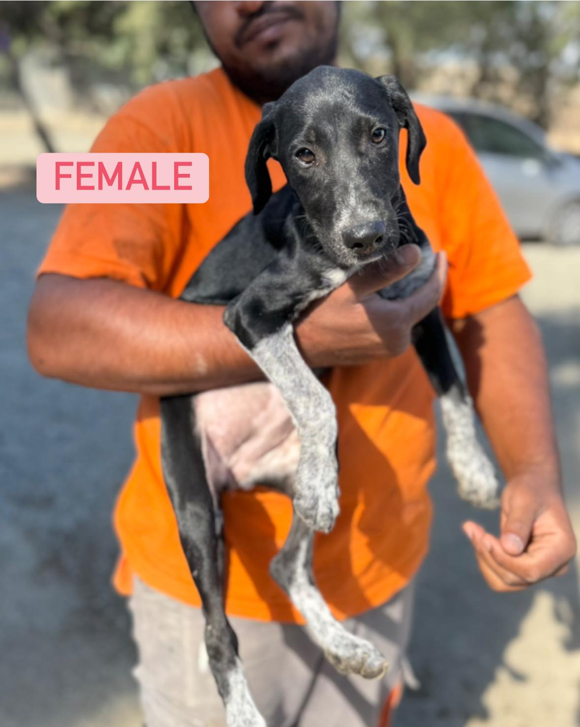 627693826_907664201776758_6035662222158850904_n