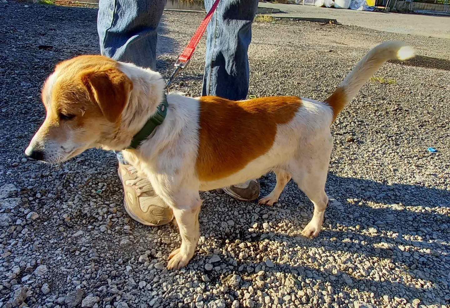 627732570_122170564946771468_8837037613280957205_n