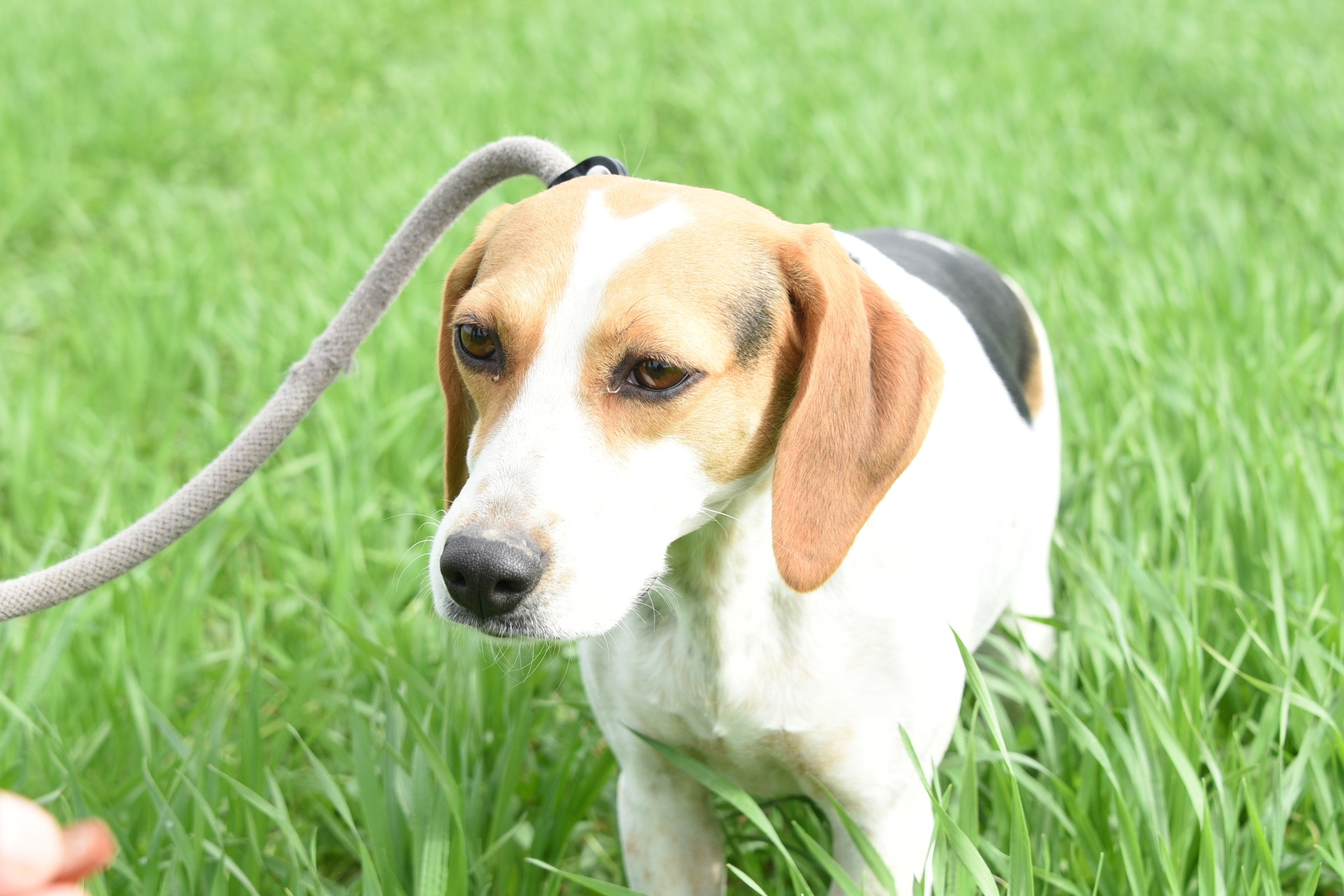 627791263_906197348590110_8022885923619707119_n