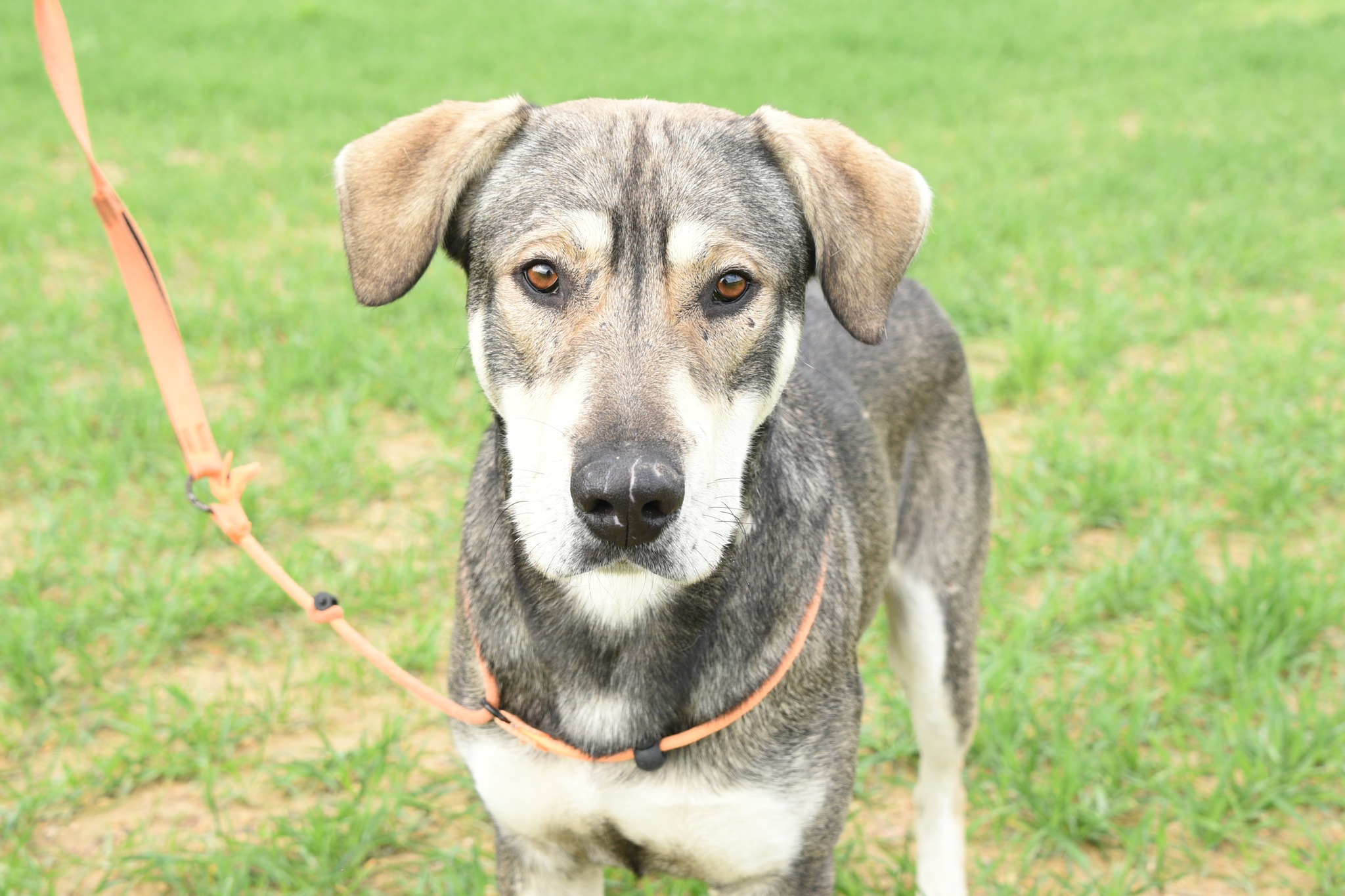 627971996_908740448335800_1067161762633742520_n