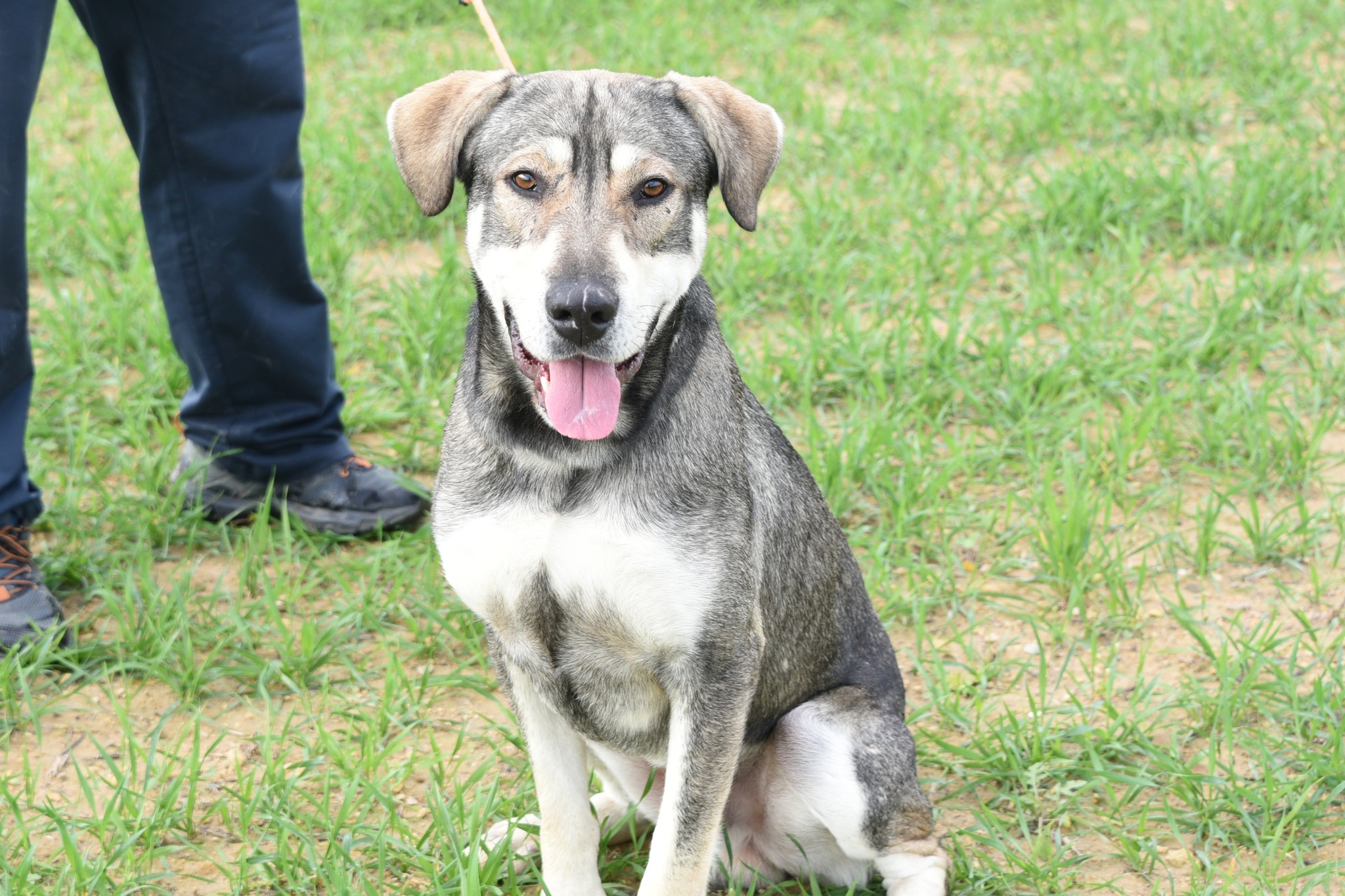 628186365_908740861669092_8305332236303757715_n