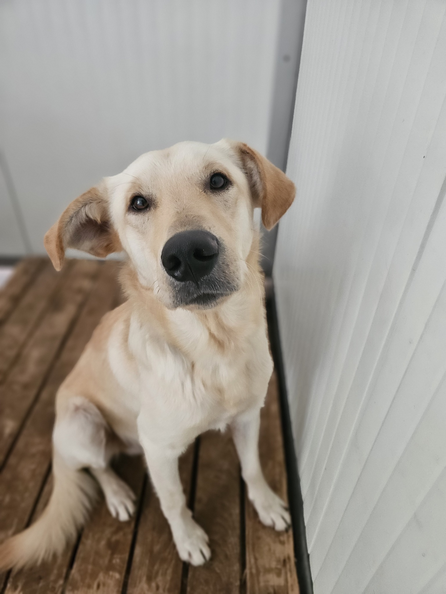 628369311_1328825659286416_6836919317650109674_n