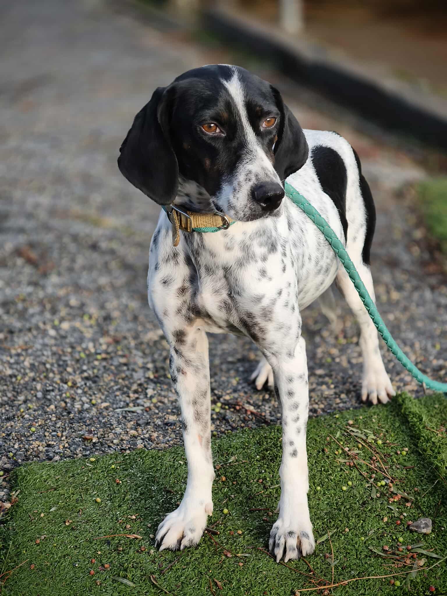 628399531_1328801462622169_5364515659154789697_n