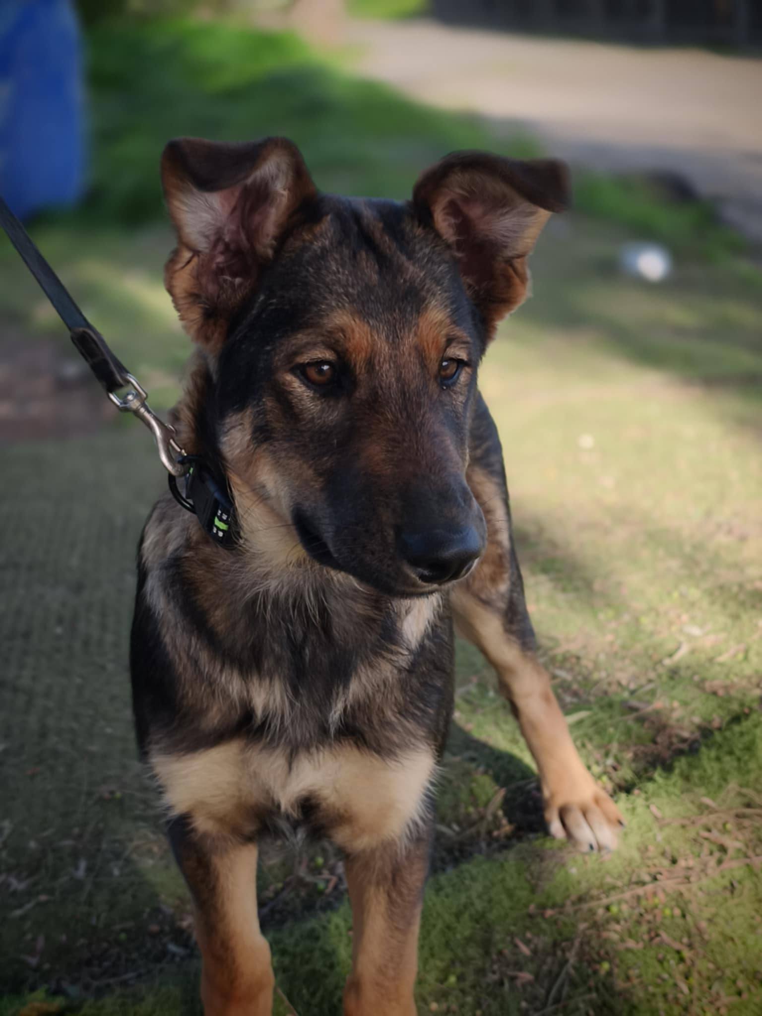 628630392_1341848247984157_8732702531503845088_n