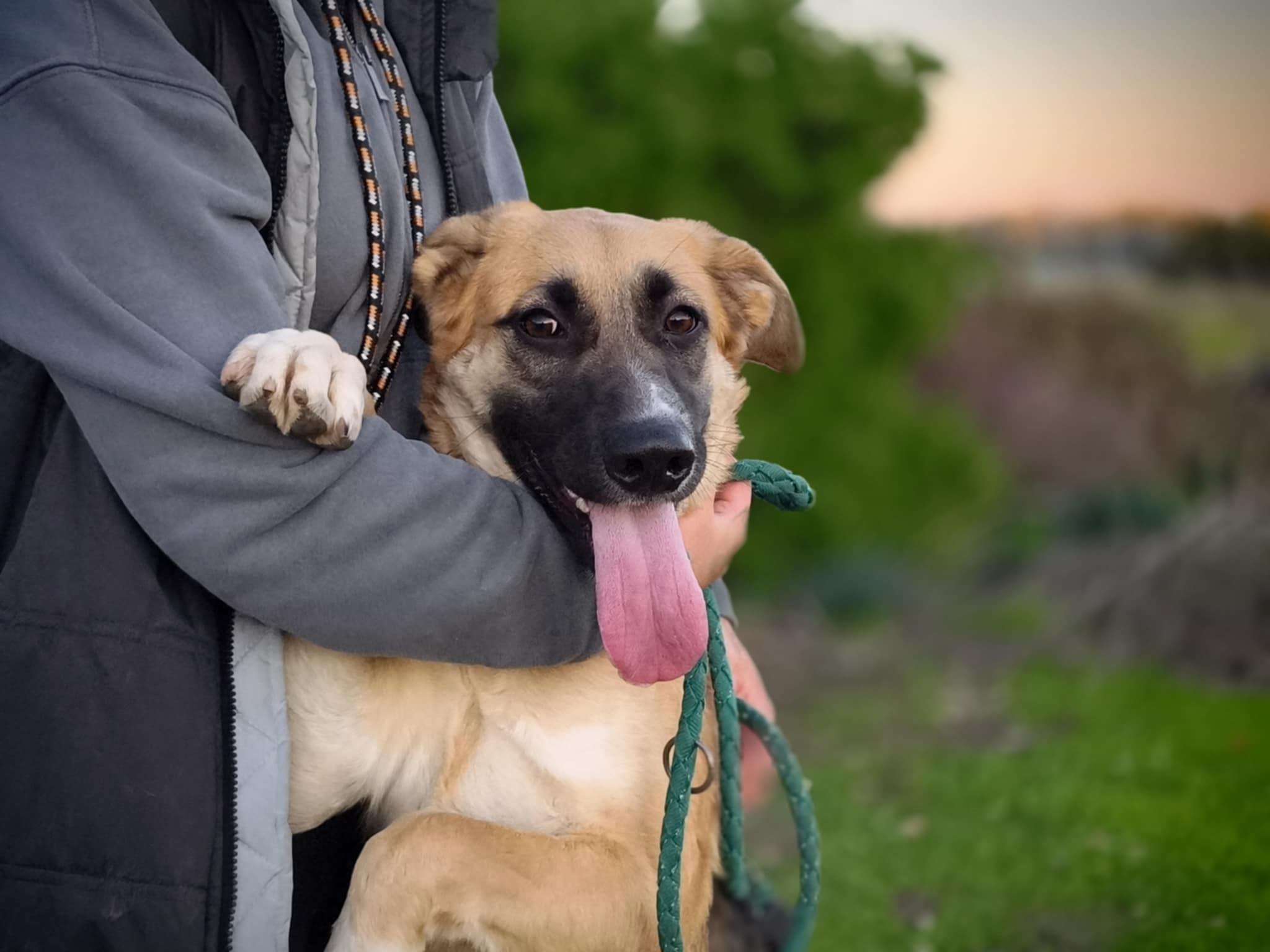 628694719_1334317885403860_1093515412308168614_n