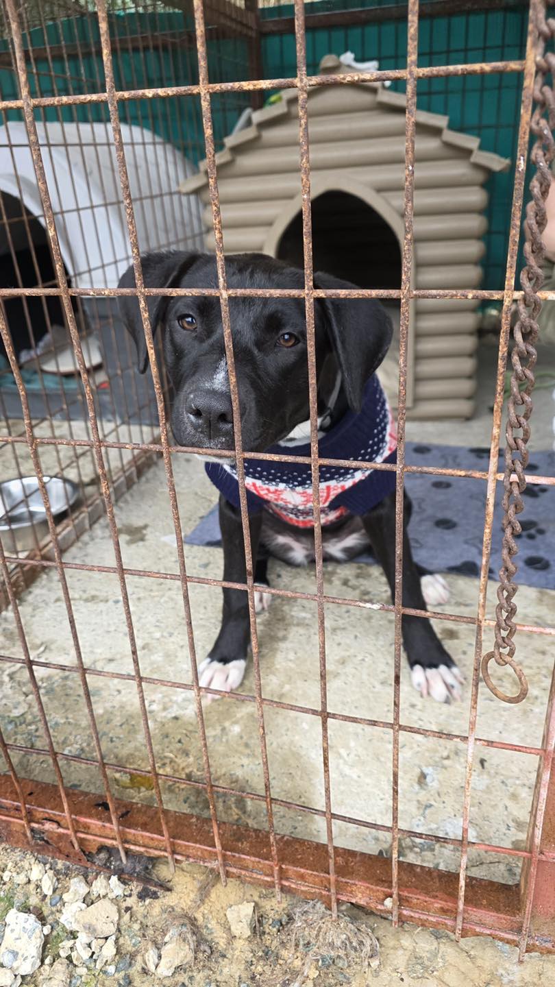 629145403_122171285060771468_5241619330168211705_n