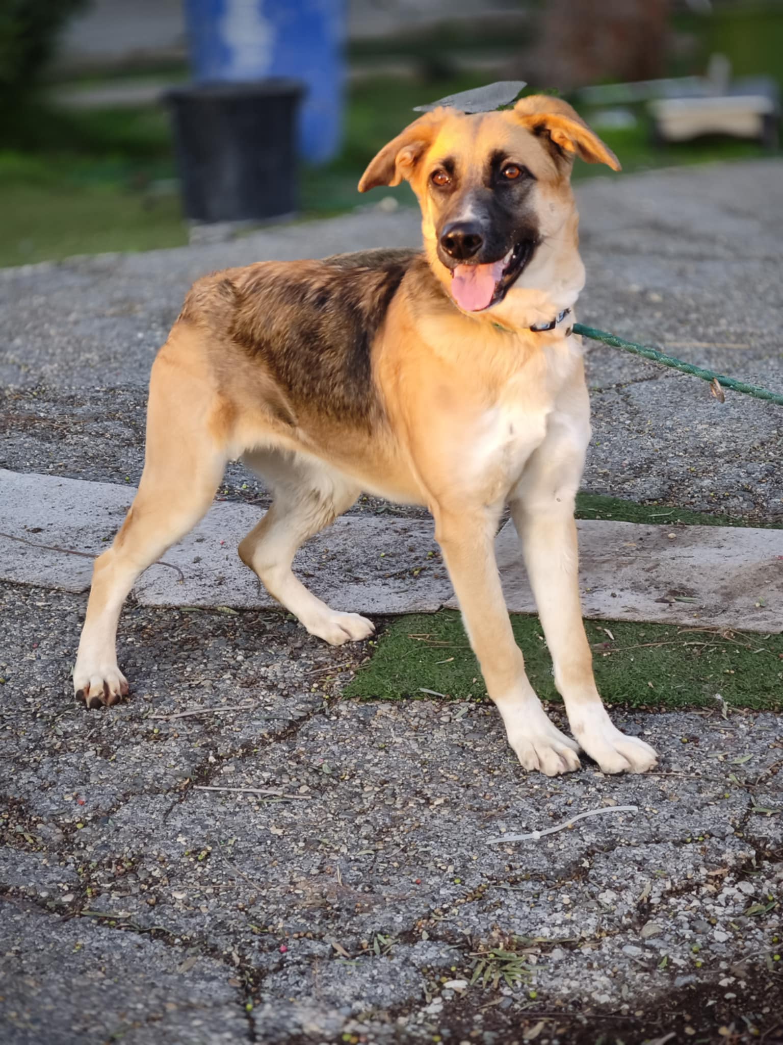 629245718_1334317848737197_331660775203413077_n