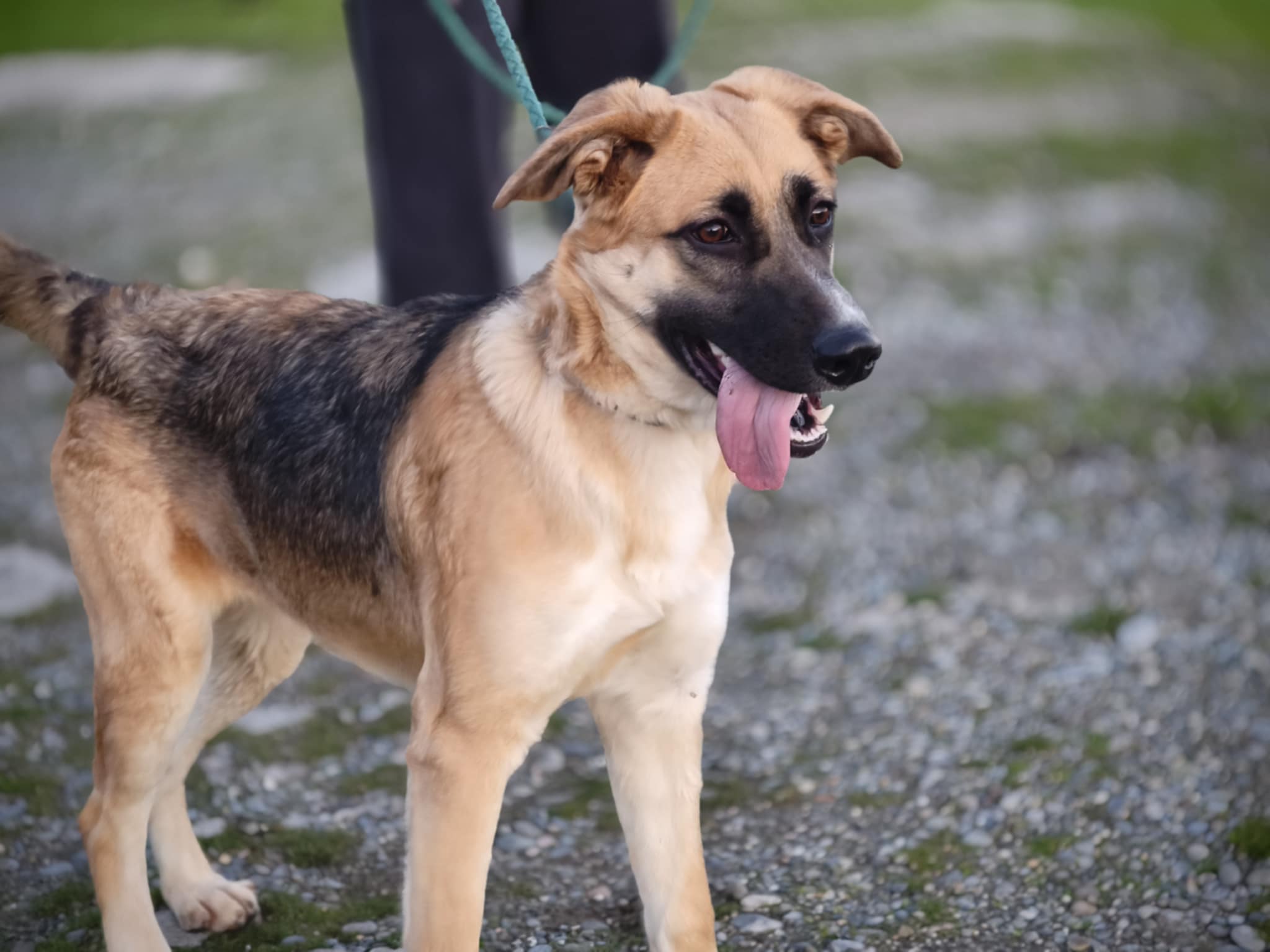 629271469_1334317878737194_7745158711869532818_n