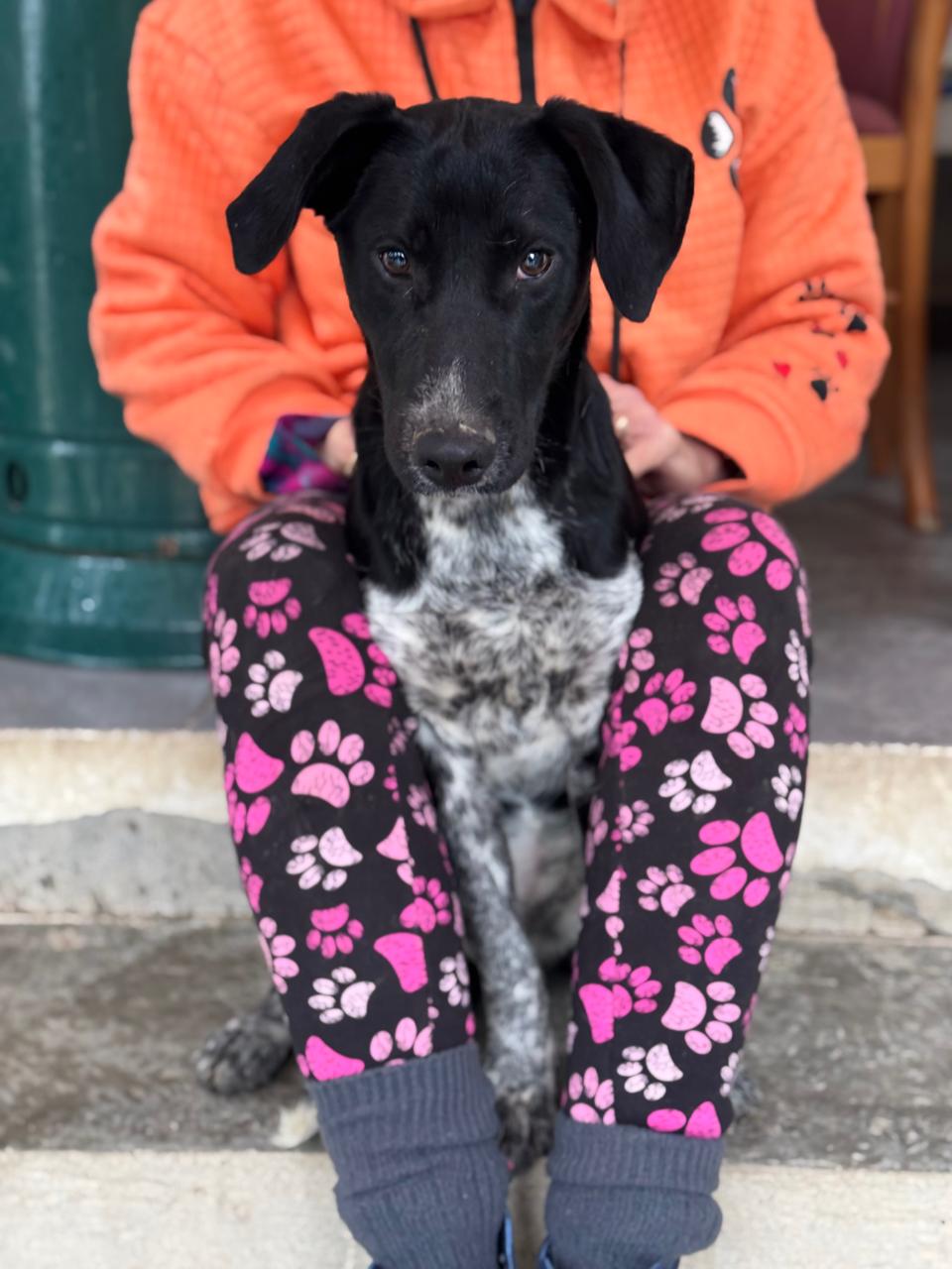 629316906_907664278443417_2522540458529421128_n