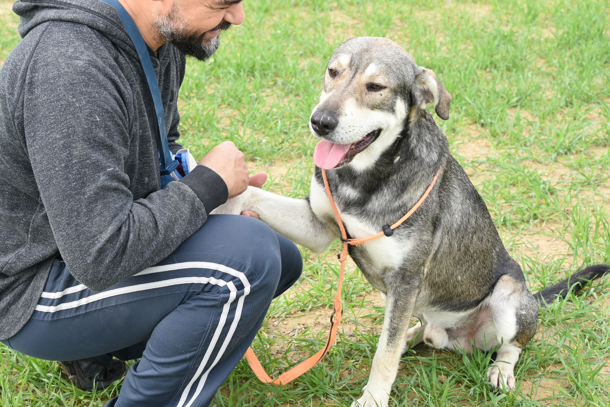 629359551_908740725002439_7095423599730401179_n