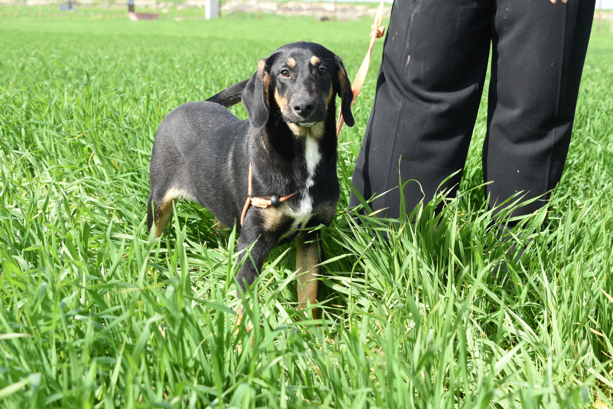 631788607_912639097945935_5334718025423197905_n