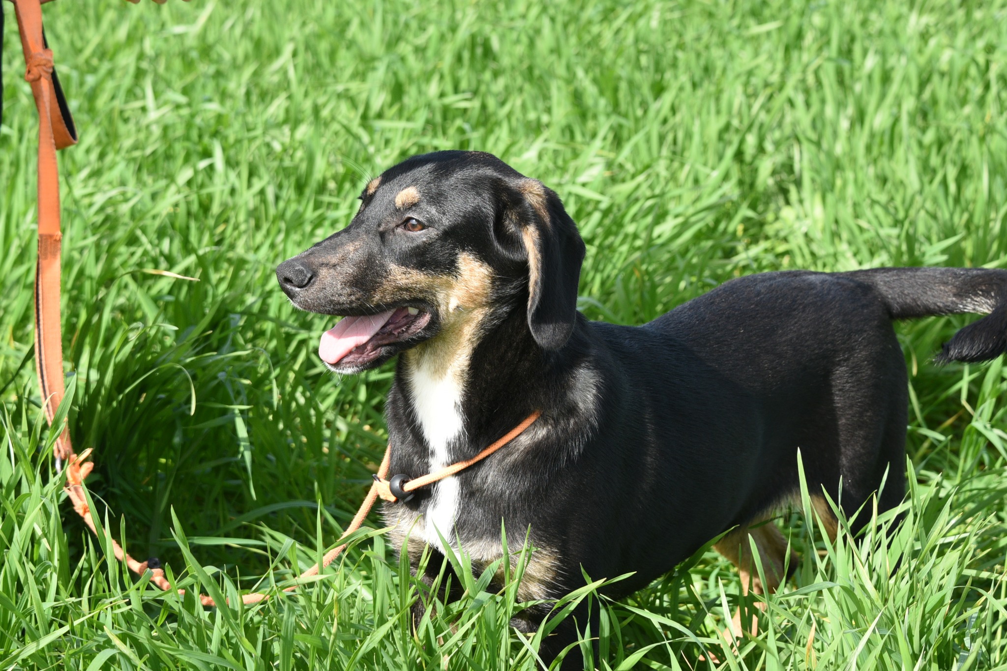 631940661_912639437945901_5394506313977409023_n