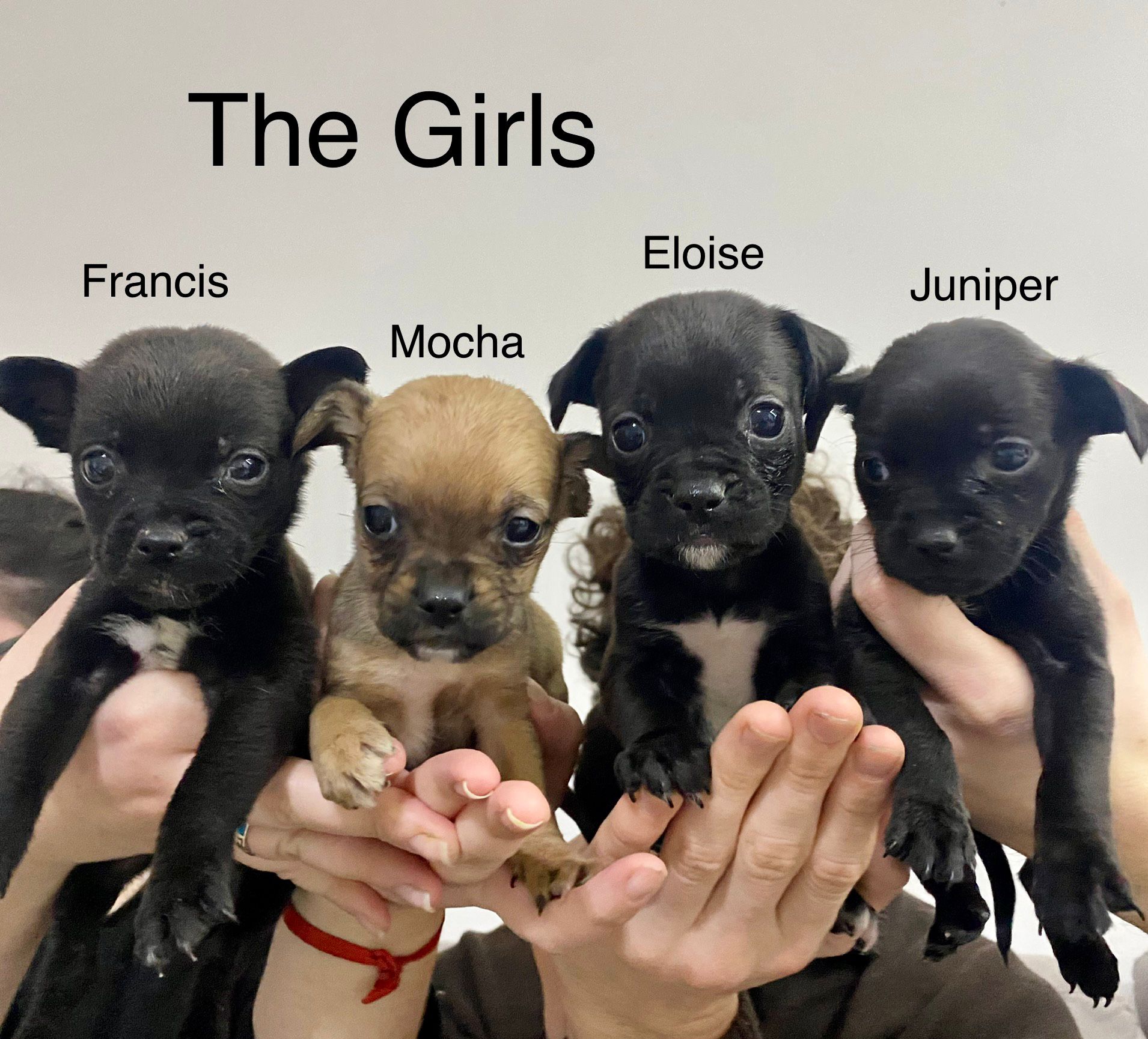 632451432_913453687864476_3850556846626467746_n