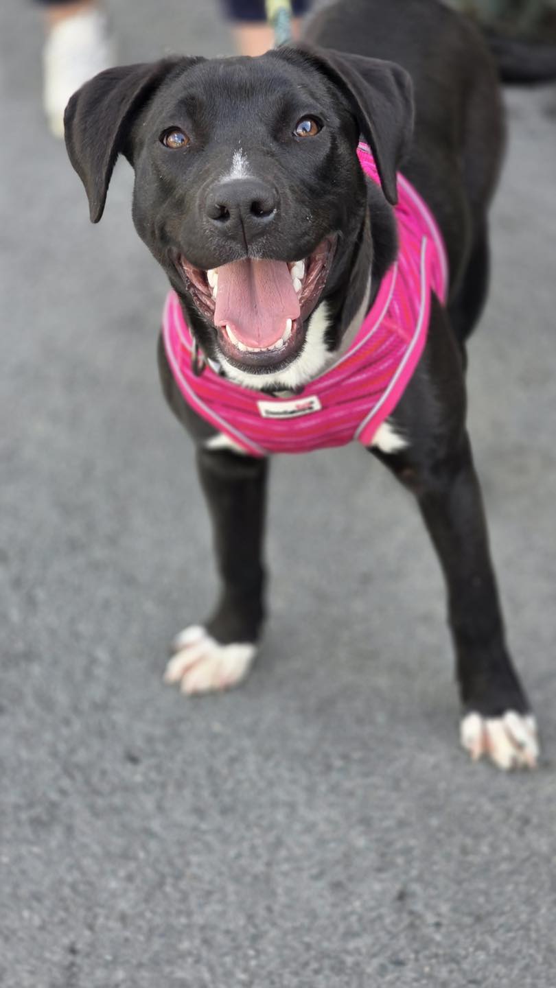 632708962_122171285048771468_6802499206819276571_n