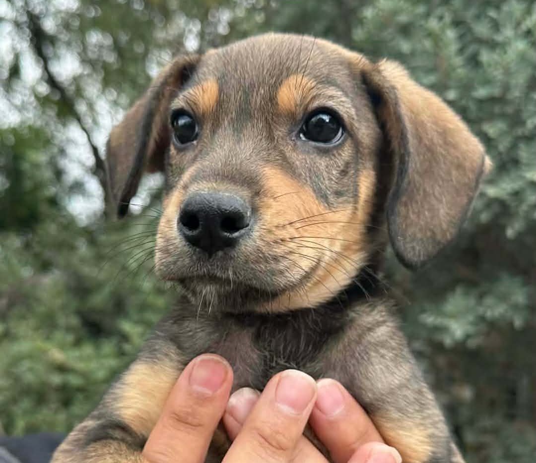 633219832_914521941090984_8067305094428716179_