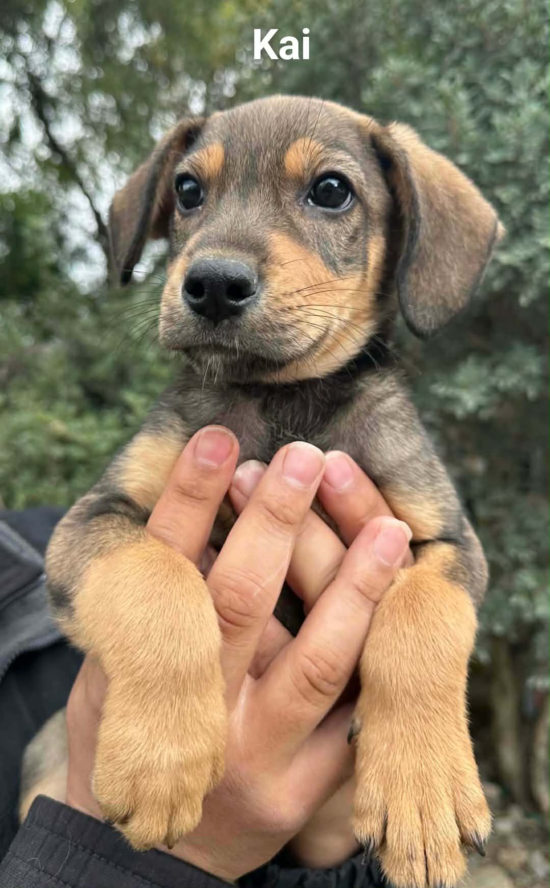 633219832_914521941090984_8067305094428716179_n