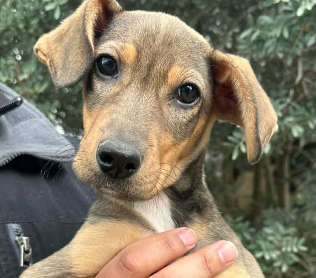 633541605_914521821090996_6264244999966250961_