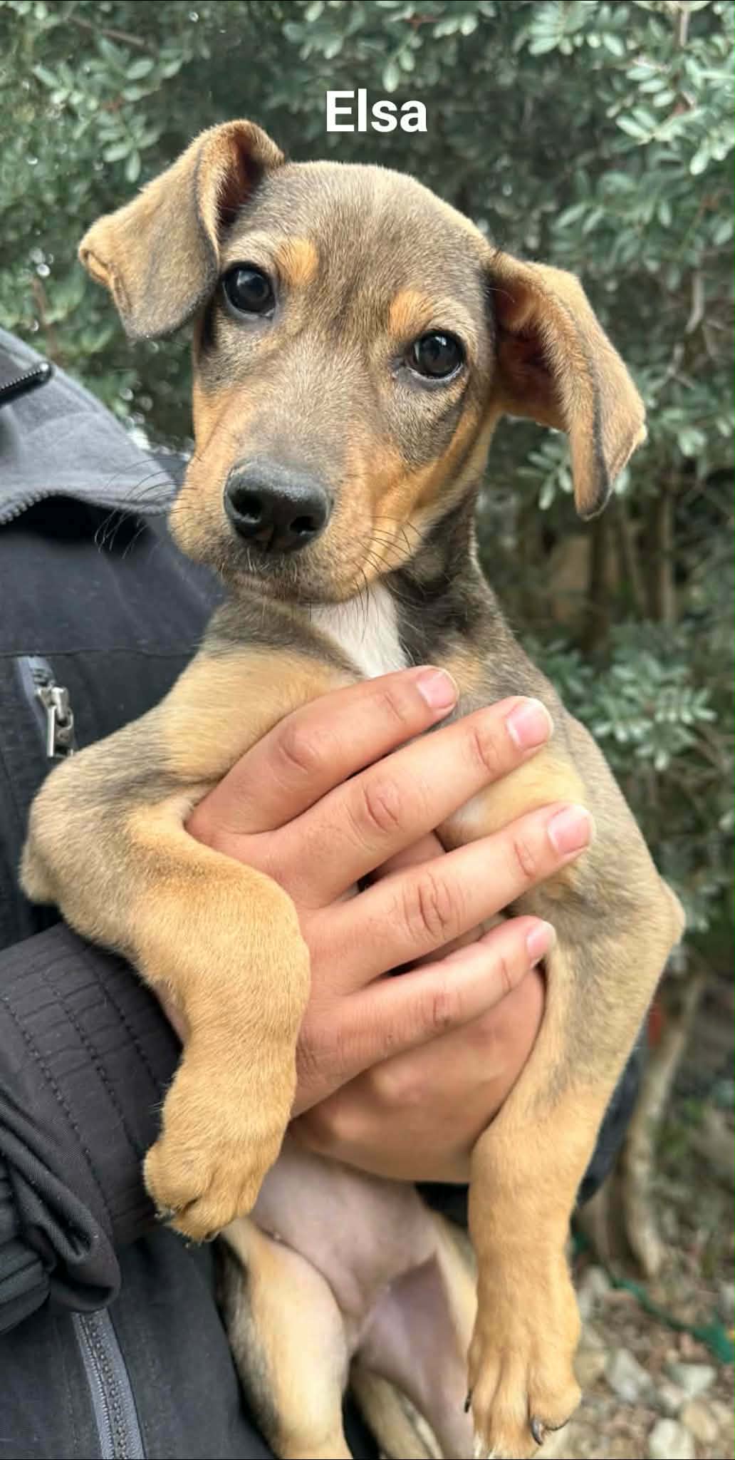 633541605_914521821090996_6264244999966250961_n