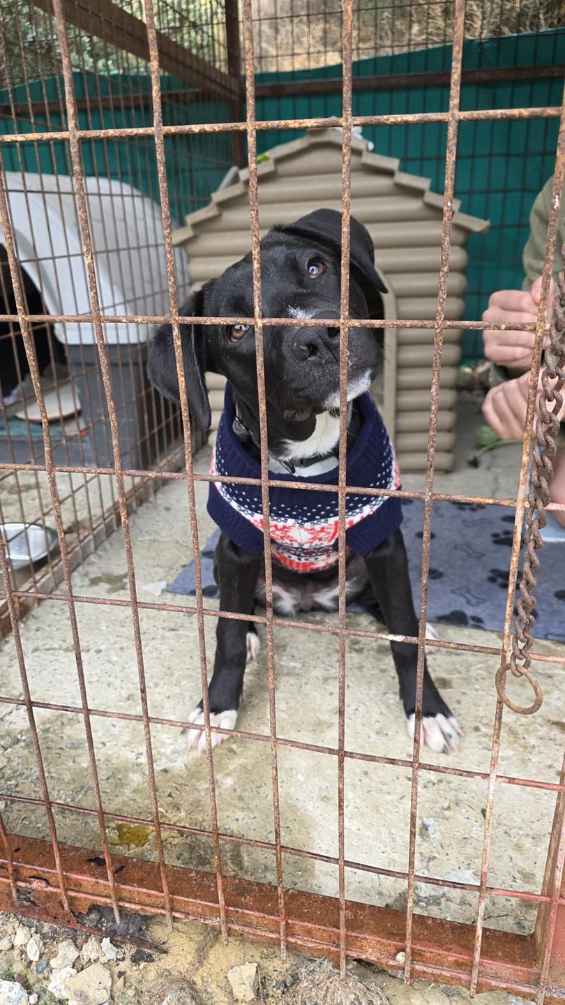 634388510_122171285054771468_5477133462135664854_n