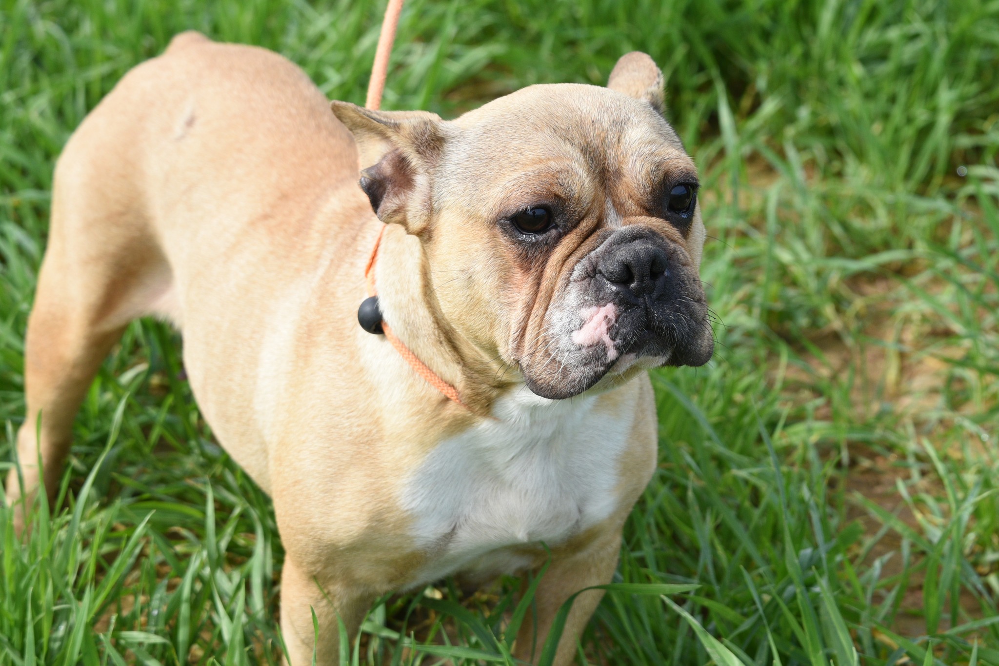 634539746_916919197517925_3868752611004862669_n