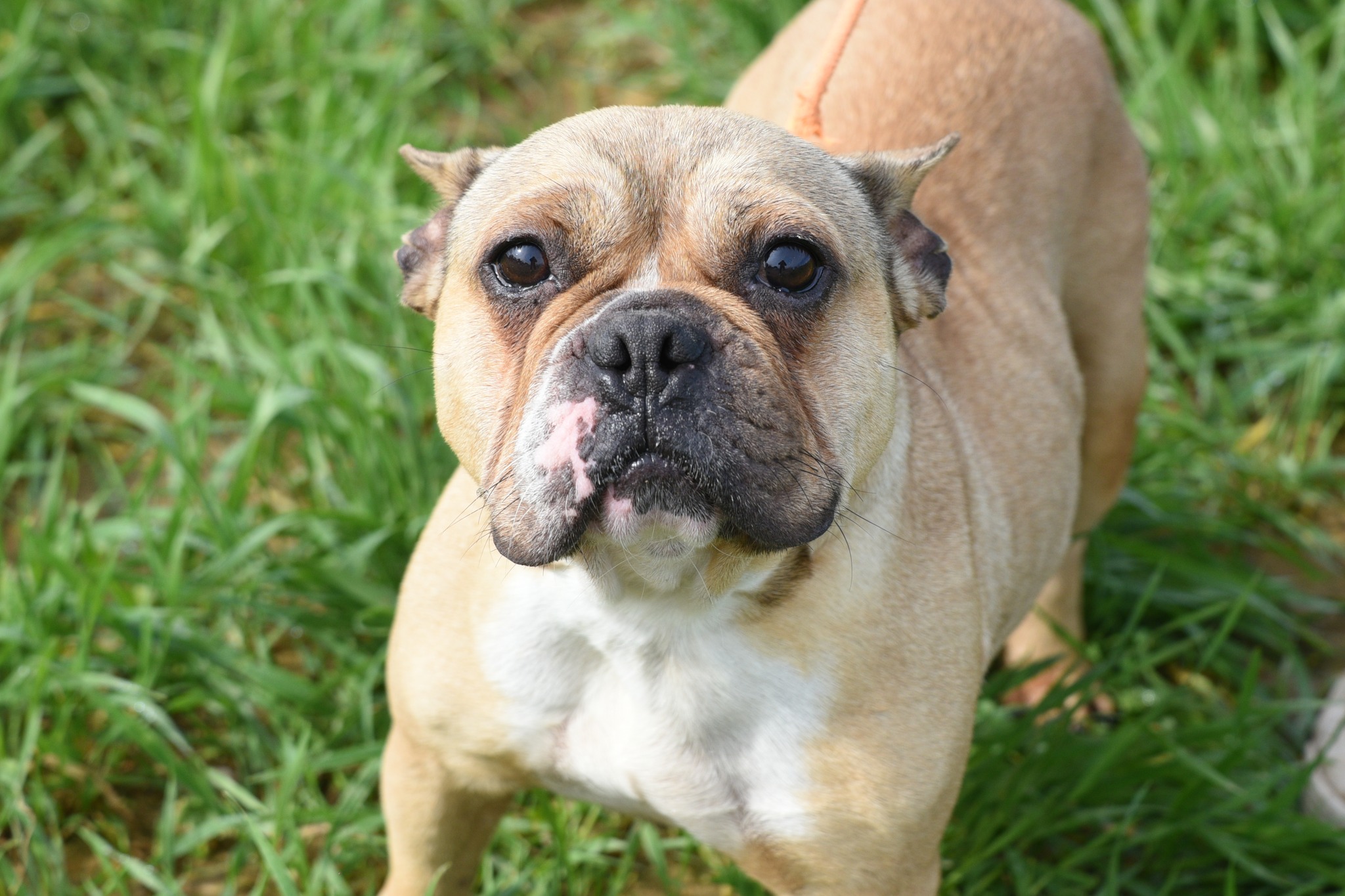 634539746_916919390851239_63370472237008636_n