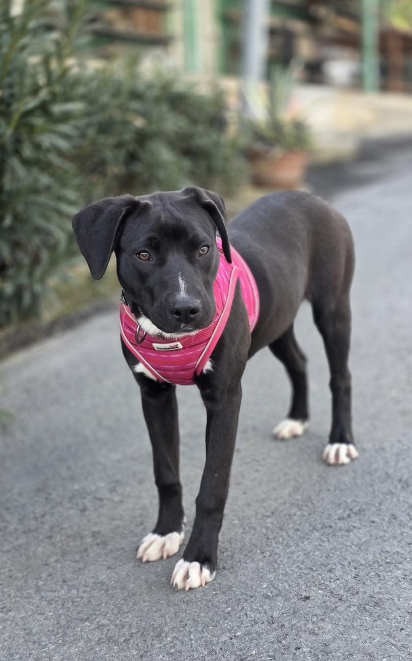 634893958_122171285066771468_1788002969484650009_n